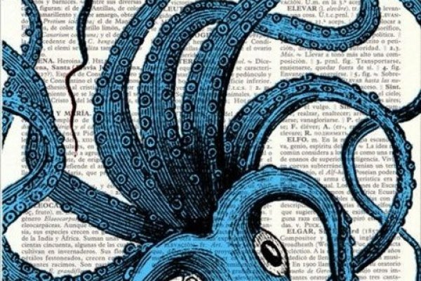 Kraken новая ссылка