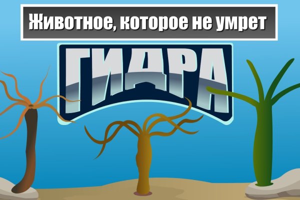 Ссылки на даркнет сайты