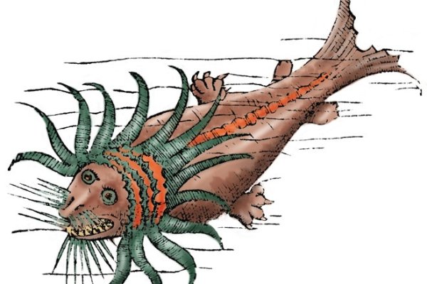 Kraken новая ссылка