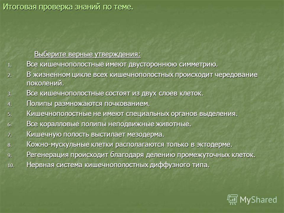 Кракен купить меф